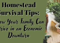 Homestead Survival Tips: How Your Family Can Thrive in an Economic Downturn