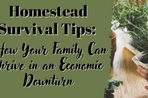 Homestead Survival Tips: How Your Family Can Thrive in an Economic Downturn
