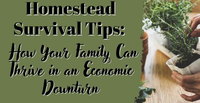 Homestead Survival Tips