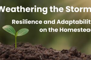Weathering the Devastating Storm: Awe-Inspiring Resilience and Adaptability on the Homestead