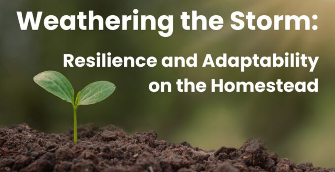 resilience and adaptability
