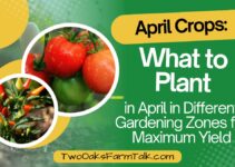 Best April Crops: What to Plant in Different Gardening Zones for Maximum Yield