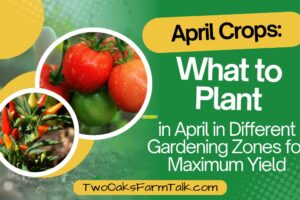 Best April Crops: What to Plant in Different Gardening Zones for Maximum Yield