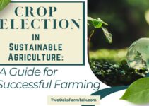 Crop Selection in Sustainable Agriculture: A Guide for Successful Farming