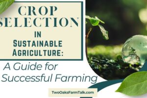Crop Selection in Sustainable Agriculture: A Guide for Successful Farming