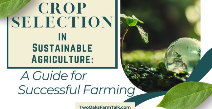 crop selection in sustainable agriculture