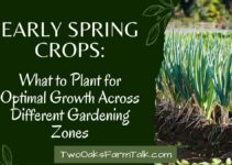 Early Spring Crops: What to Plant for Optimal Growth Across Different Gardening Zones