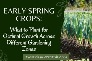 Early Spring Crops: What to Plant for Optimal Growth Across Different Gardening Zones