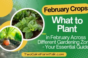 Best February Crops: What to Plant in February Across Different Gardening Zones – Your Essential Guide