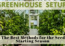 Greenhouse Setup: The Best Methods for the Seed Starting Season