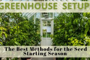 Greenhouse Setup: The Best Methods for the Seed Starting Season