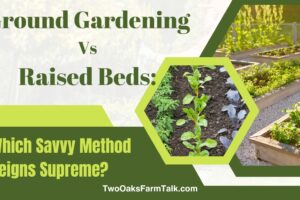 Ground Gardening Versus Raised Beds: Which Savvy Method Reigns Supreme?