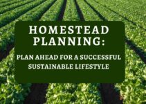 Homestead Planning: Plan Ahead for a Successful Sustainable Lifestyle