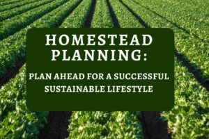 Homestead Planning: Plan Ahead for a Successful Sustainable Lifestyle