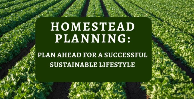 homestead planning