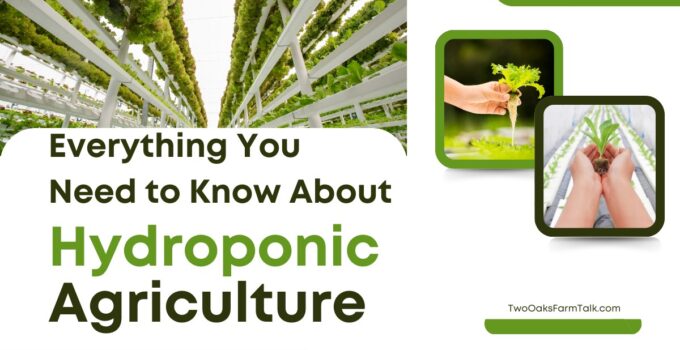 hydroponics