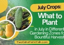 July Crops: What to Plant in Different Gardening Zones for a Bountiful Harvest