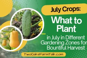 July Crops: What to Plant in Different Gardening Zones for a Bountiful Harvest