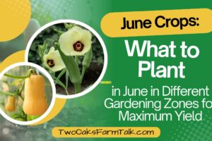 Best June Crops: What to Plant in Different Gardening Zones for Maximum Yield