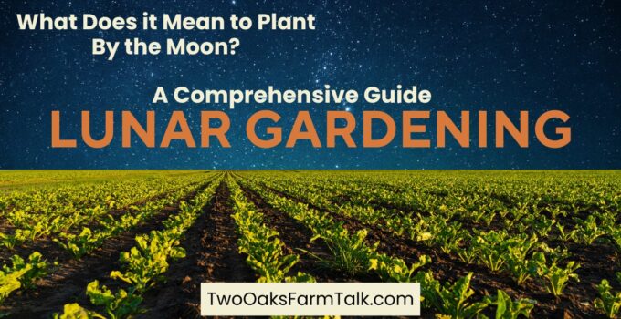 lunar gardening, plant by the moon