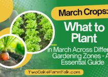 Best March Crops: What to Plant in Different Gardening Zones – A Comprehensive Guide