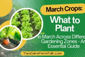 Best March Crops: What to Plant in Different Gardening Zones – A Comprehensive Guide