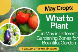 May Crops: What to Plant in Different Gardening Zones for a Bountiful Garden