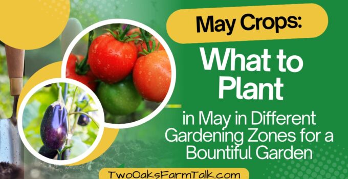 may crops