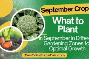 September Crops: What to Plant in the Different Gardening Zones for Optimal Growth