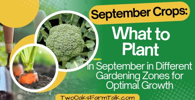 September crops