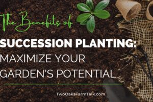 The Benefits of Succession Planting: Maximize Your Garden’s Potential