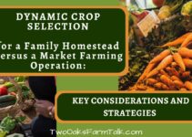 Dynamic Crop Selection for a Family Homestead Versus a Market Farming Operation: Key Considerations and Strategies