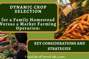 Dynamic Crop Selection for a Family Homestead Versus a Market Farming Operation: Key Considerations and Strategies