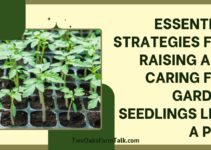 Essential Strategies for Raising and Caring for Garden Seedlings Like a Pro