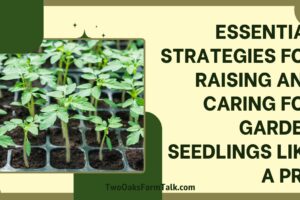 Essential Strategies for Raising and Caring for Garden Seedlings Like a Pro