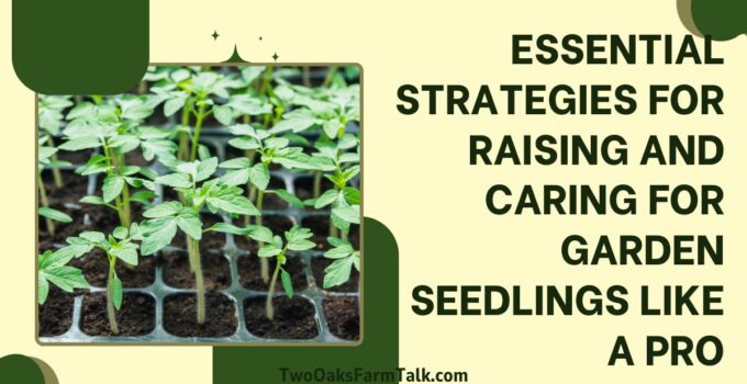 garden seedlings