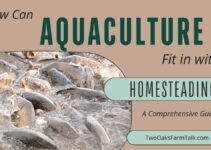 How Can Aquaculture Fit in with Homesteading? A Comprehensive Guide