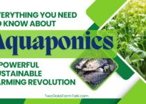 Everything You Need to Know About Aquaponics: A Powerful Sustainable Farming Revolution