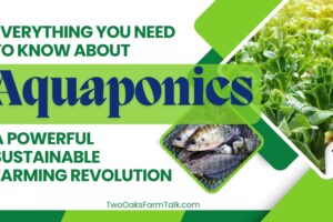 Everything You Need to Know About Aquaponics: A Powerful Sustainable Farming Revolution