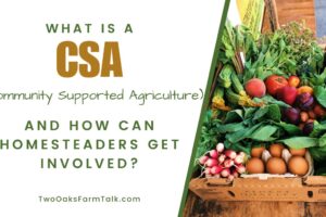 What is a CSA and How Can Homesteaders Get Involved? The Best Actionable Information You Need to Get Started!