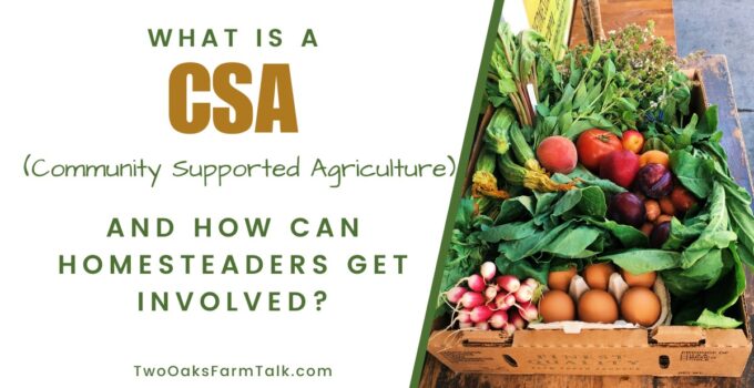 csa