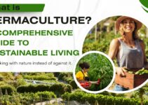 What is Permaculture? A Comprehensive Guide to Sustainable Living