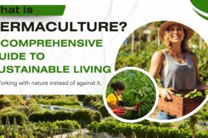 What is Permaculture? A Comprehensive Guide to Sustainable Living