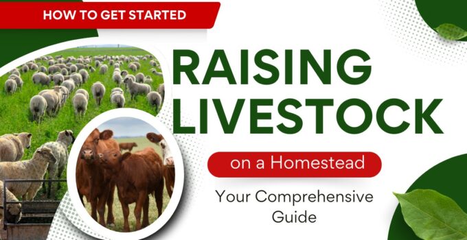 raising livestock
