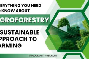 Everything You Need to Know About Agroforestry: A Sustainable Approach to Farming