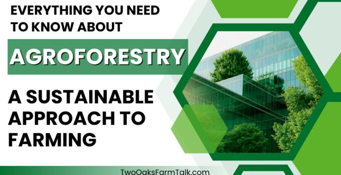 agroforestry
