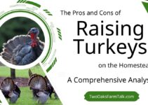 The Pros and Cons of Raising Turkeys on the Homestead: A Comprehensive Analysis