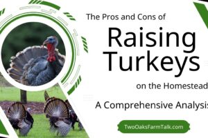 The Pros and Cons of Raising Turkeys on the Homestead: A Comprehensive Analysis