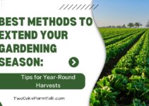 Best Methods to Extend Your Gardening Season: Tips for Year-Round Harvests