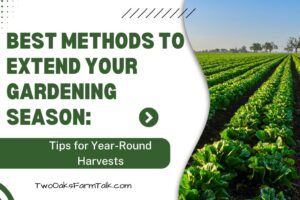 Best Methods to Extend Your Gardening Season: Tips for Year-Round Harvests